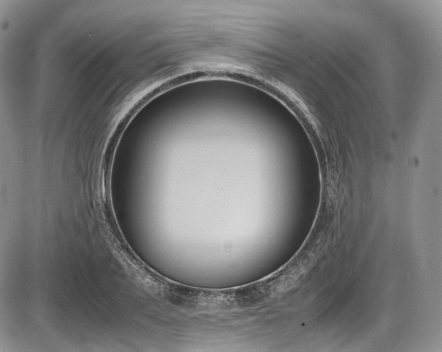 X0000087600887200704271329