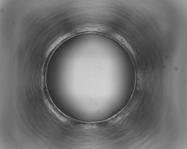 X0000087600890200704271329