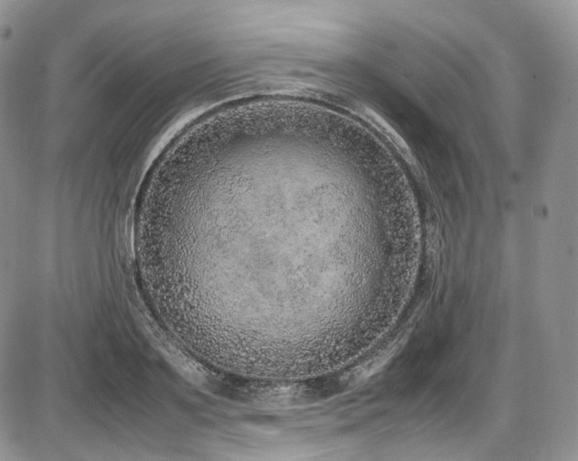 X0000087600891200704271329