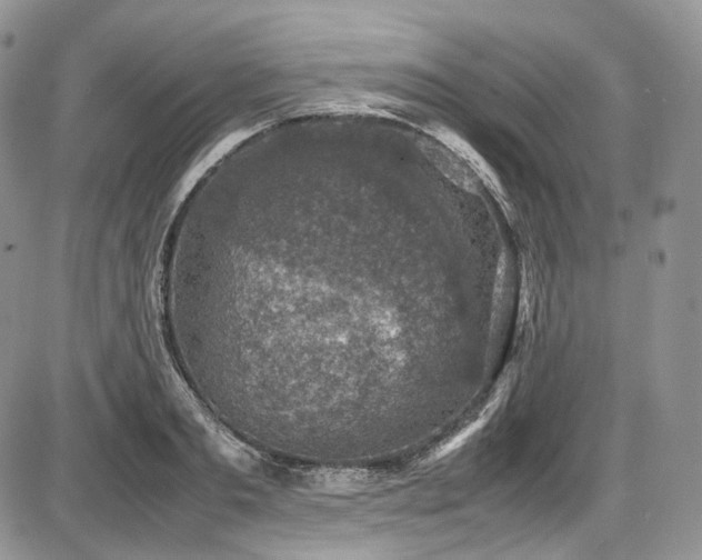 X0000087600893200704271329