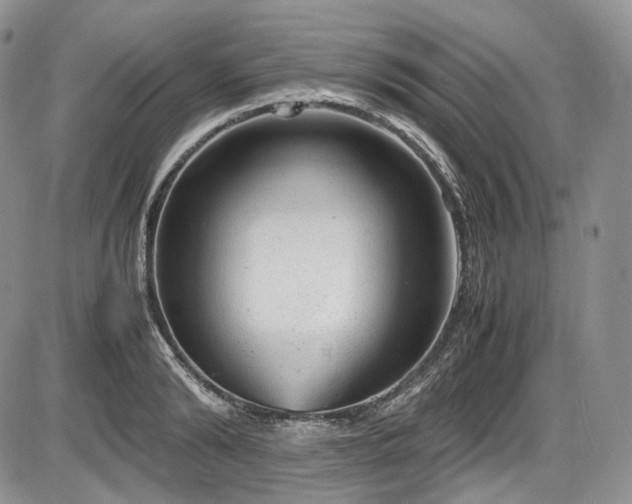 X0000087600894200704271329