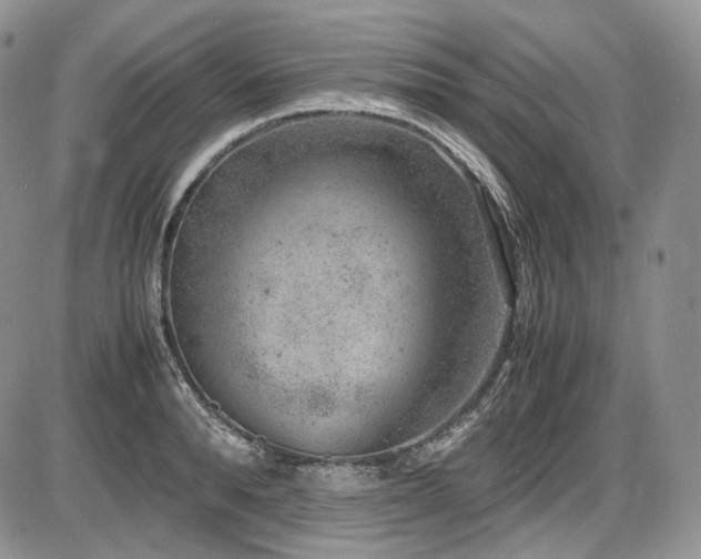 X0000087600896200704271329