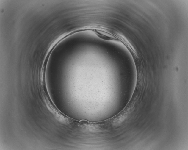 X0000087600900200704271329