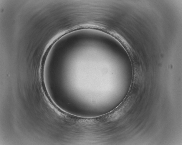 X0000087600902200704271329