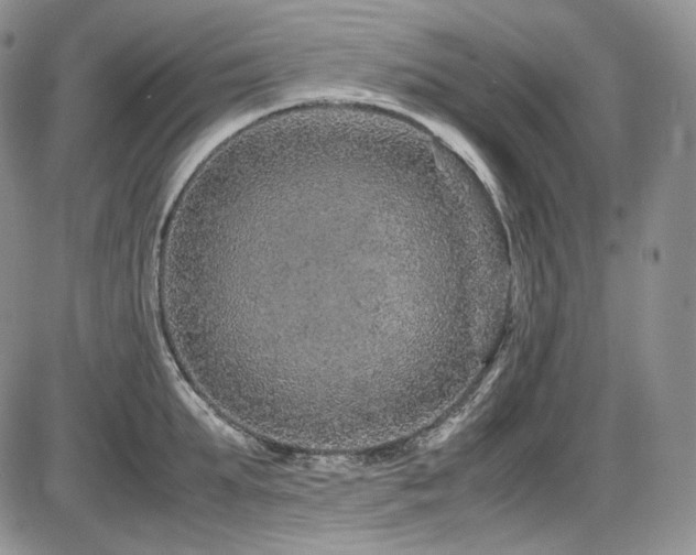 X0000087600903200704271329