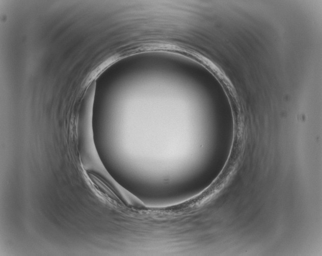 X0000087600905200704271329