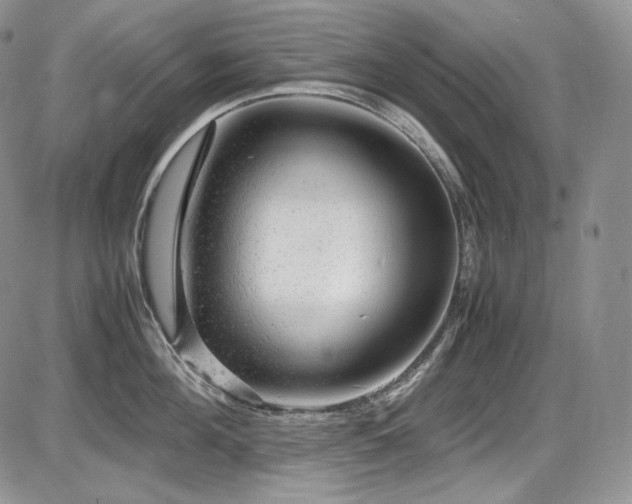 X0000087600908200704271329