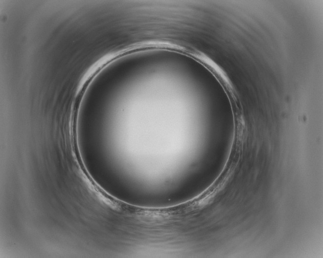 X0000087600910200704271329