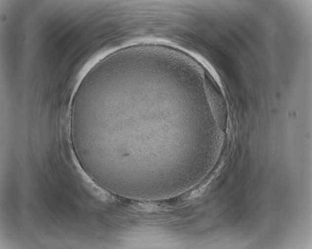 X0000087600911200704271329