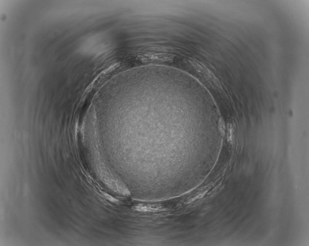 X0000087600915200704271328