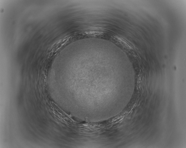 X0000087600917200704271328