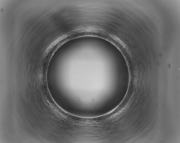 X0000087600922200704271328