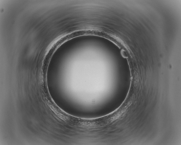 X0000087600927200704271328