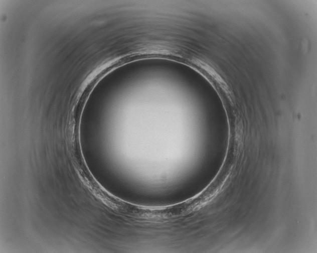 X0000087600933200704271329