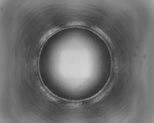 X0000087600937200704271329
