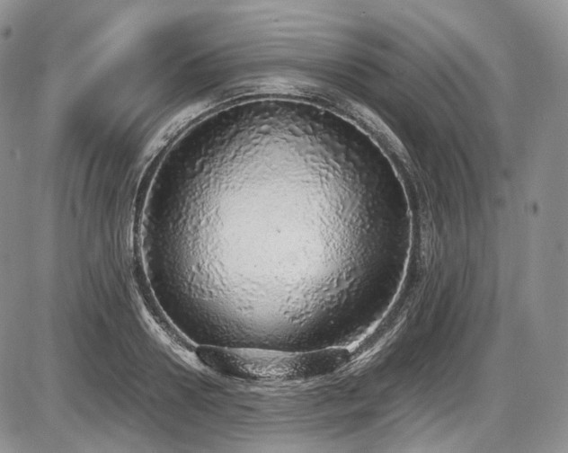X0000087600938200704271329