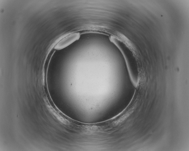 X0000087600940200704271329