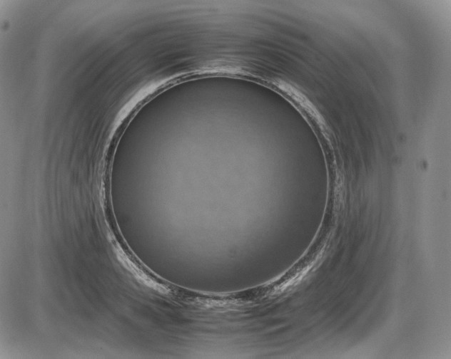 X0000087600941200704271329