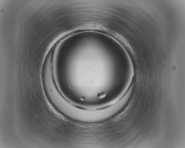 X0000087600942200704271329