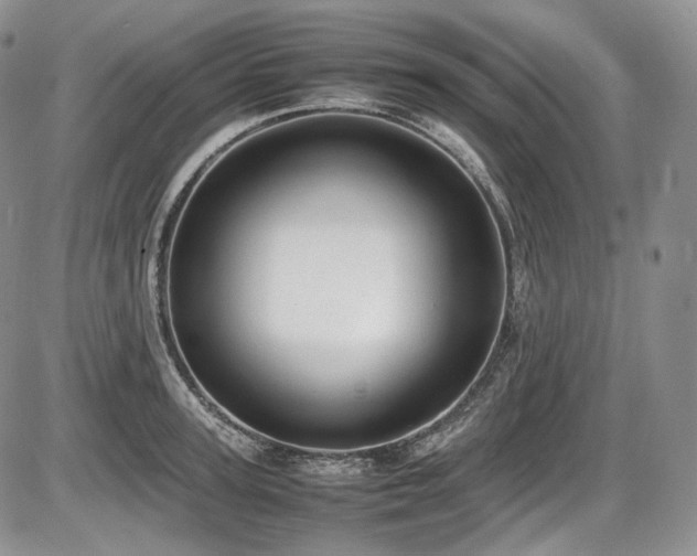 X0000087600947200704271329