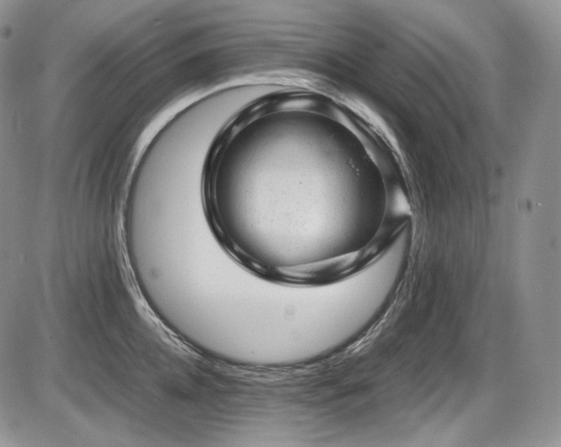 X0000087600952200704271329