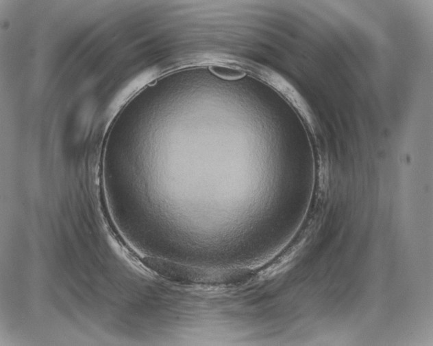 X0000087600954200704271329