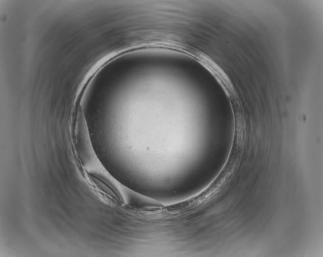 X0000087600956200704271329