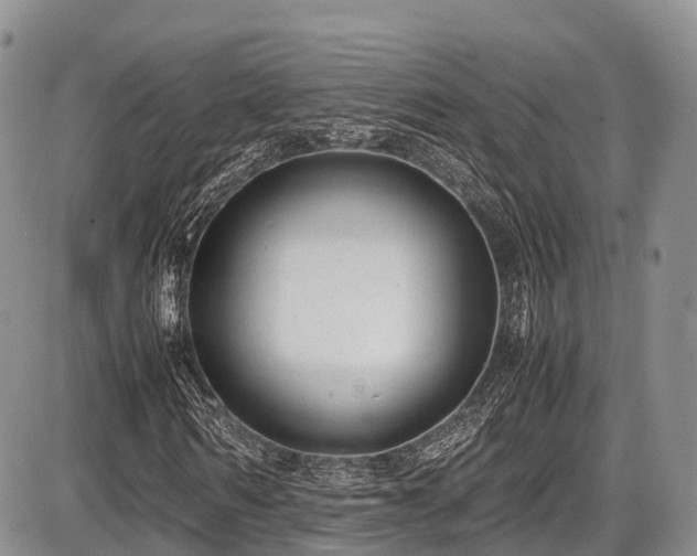 X0000087600962200704271328