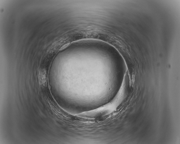 X0000087600963200704271328