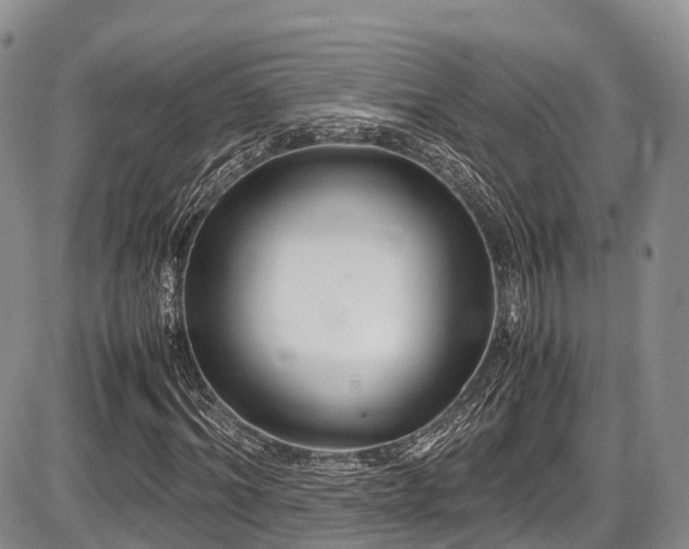 X0000087600964200704271328
