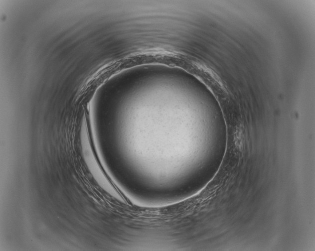 X0000087600968200704271328