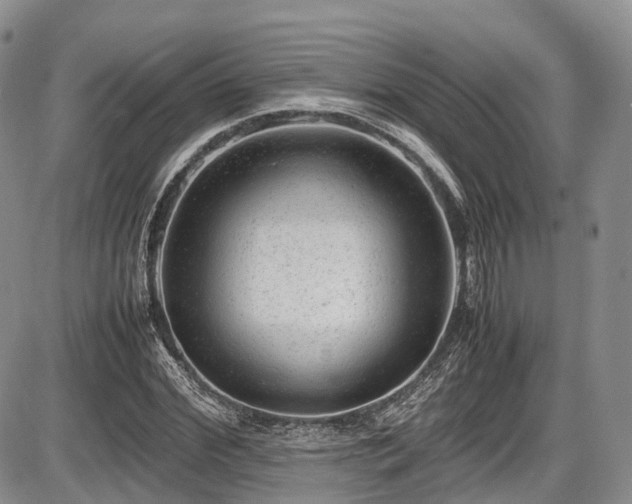 X0000087600972200704271328