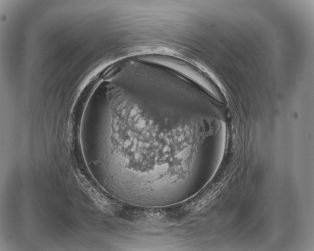 X0000087600975200704271328