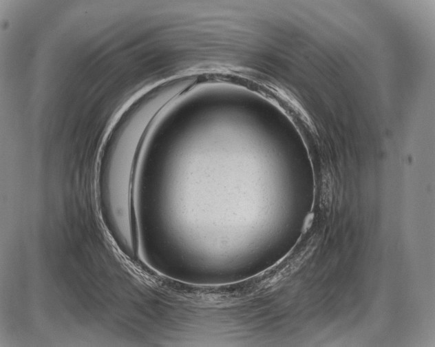 X0000087600976200704271328