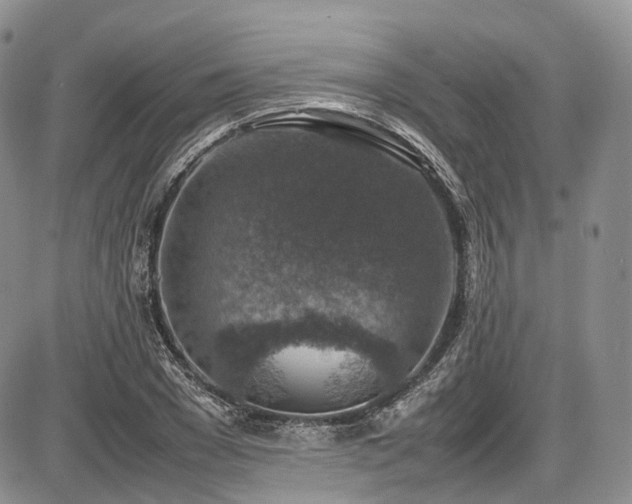 X0000087600977200704271328
