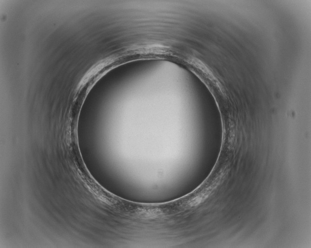 X0000087600978200704271328