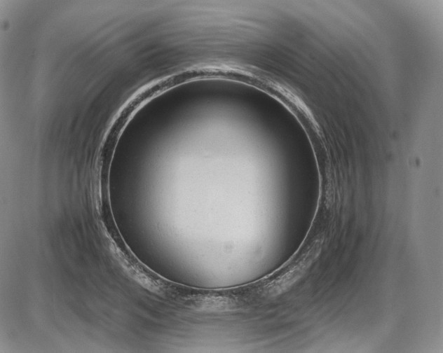 X0000087600984200704271328