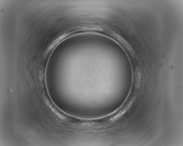 X0000087600985200704271328