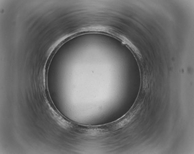 X0000087600988200704271328