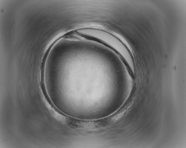 X0000087600999200704271328