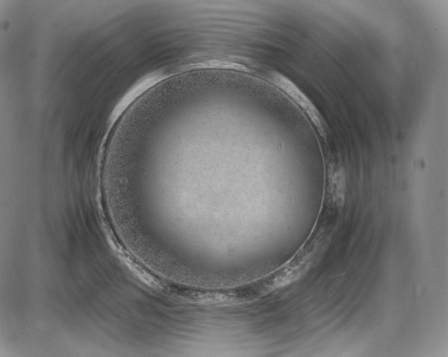 X0000087601002200704271327