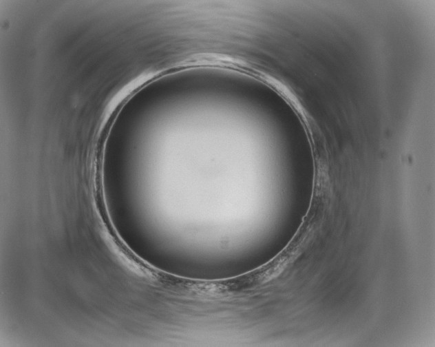 X0000087601003200704271327