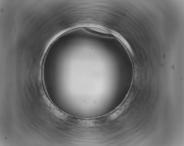 X0000087601004200704271327