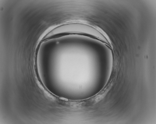 X0000087601005200704271327