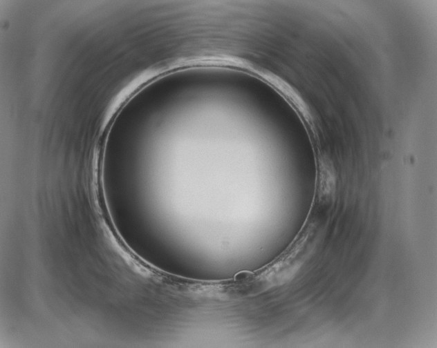 X0000087601006200704271327