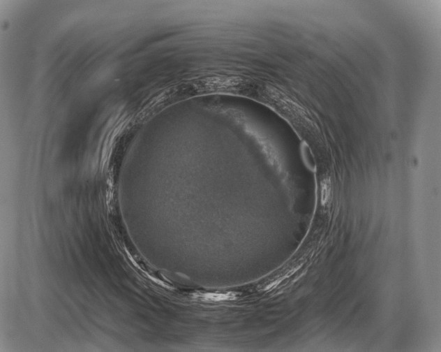 X0000087601011200704271327