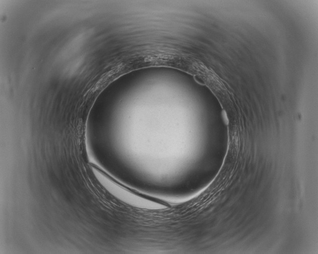 X0000087601012200704271327