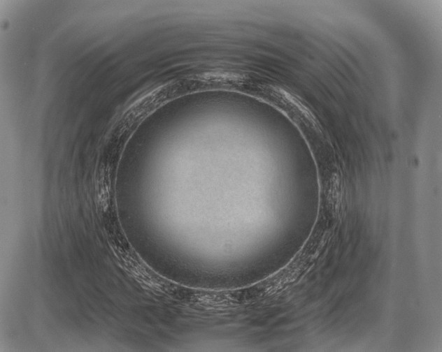 X0000087601015200704271327