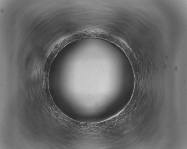 X0000087601016200704271327