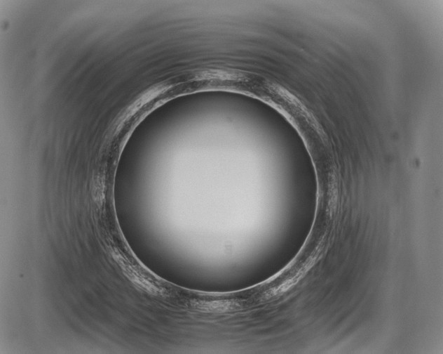 X0000087601017200704271327